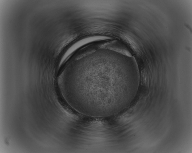 X0000093170404200709261532