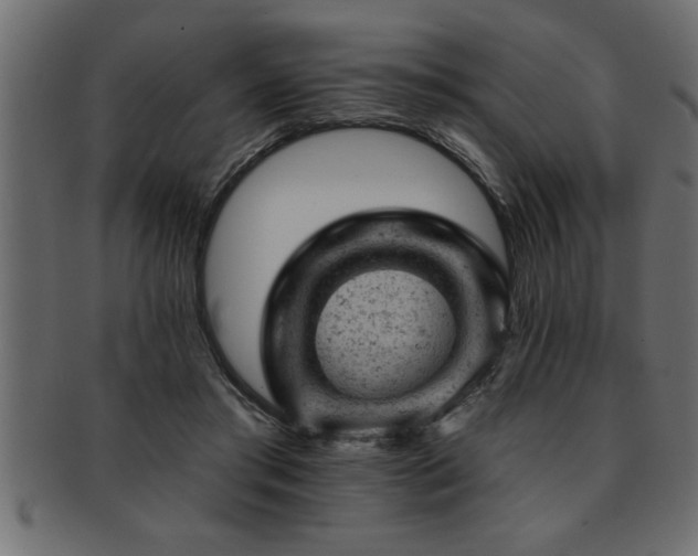 X0000093170405200709261532