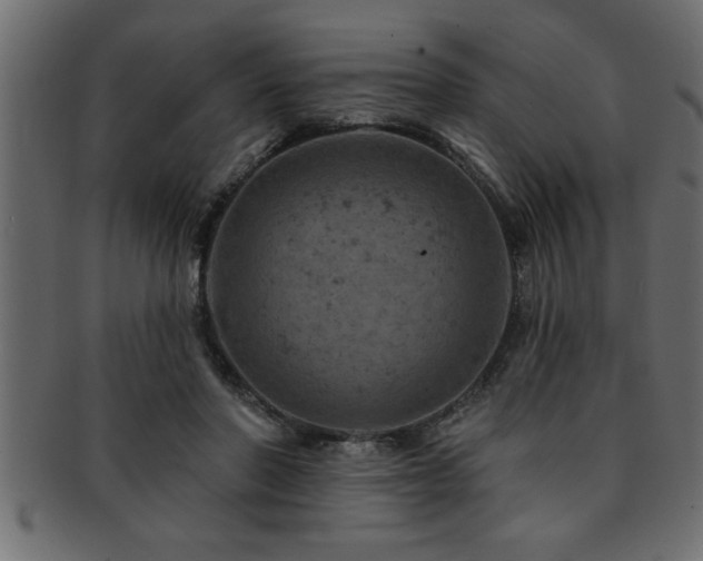 X0000093170406200709261532