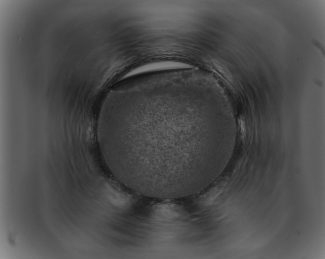 X0000093170408200709261532