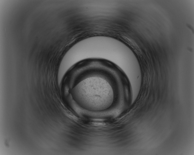 X0000093170409200709261532