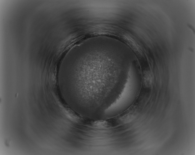 X0000093170410200709261532