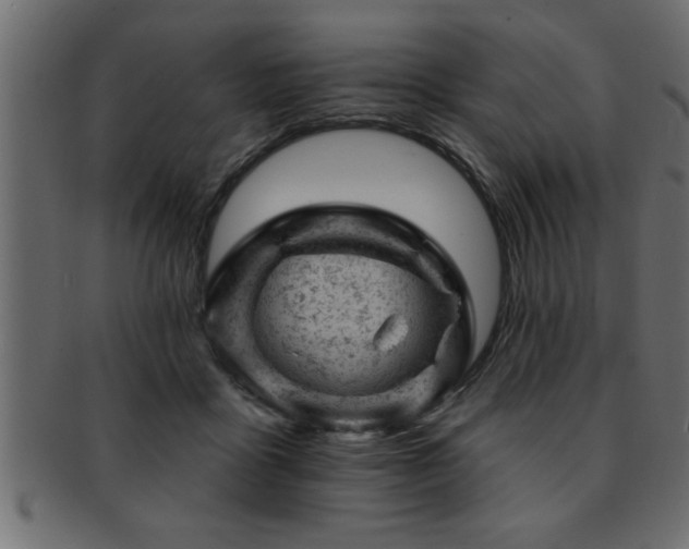 X0000093170411200709261532