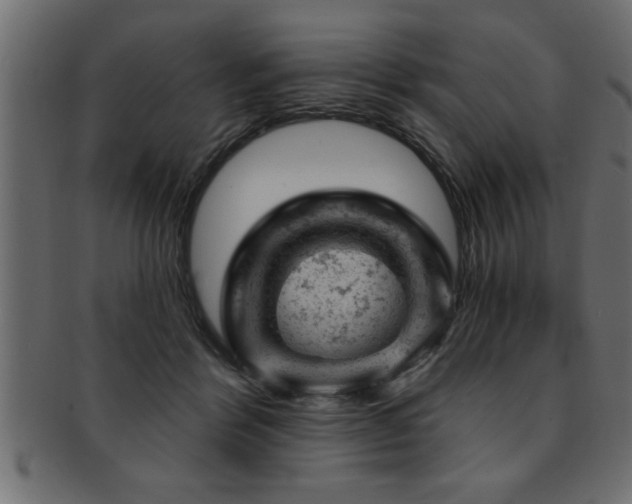 X0000093170412200709261532
