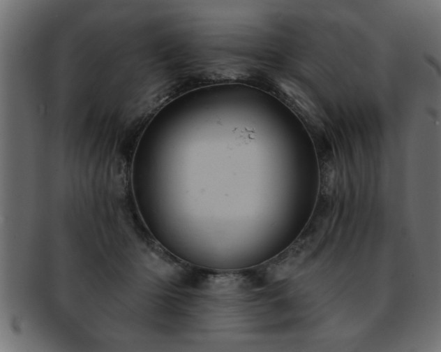 X0000093170414200709261532