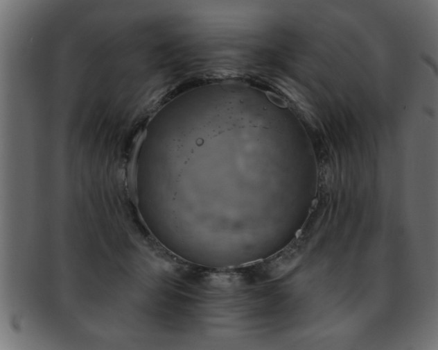 X0000093170415200709261532