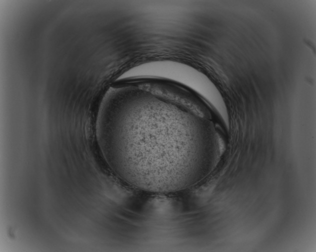 X0000093170416200709261532