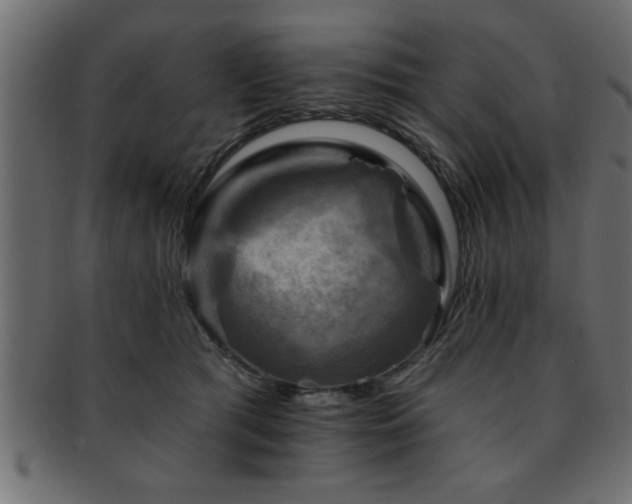 X0000093170417200709261532