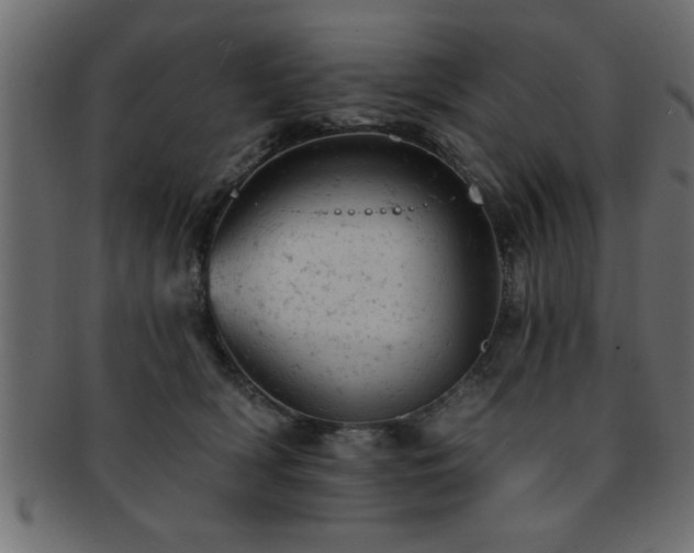X0000093170418200709261532