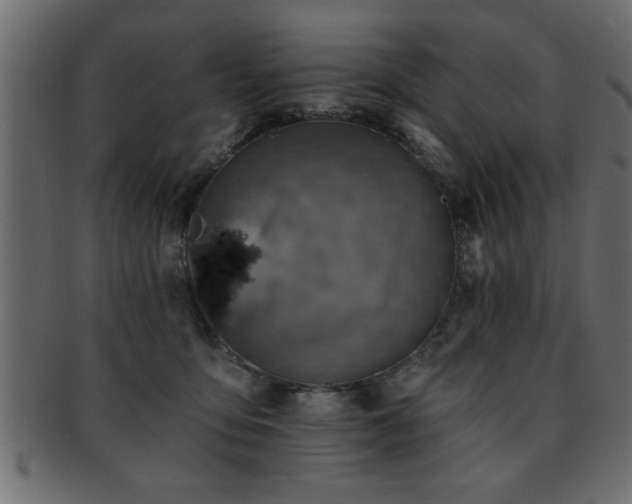 X0000093170419200709261532