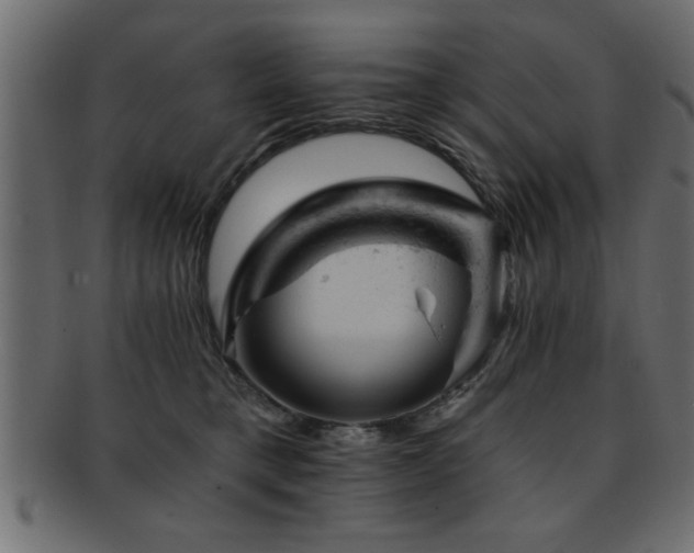 X0000093170421200709261532