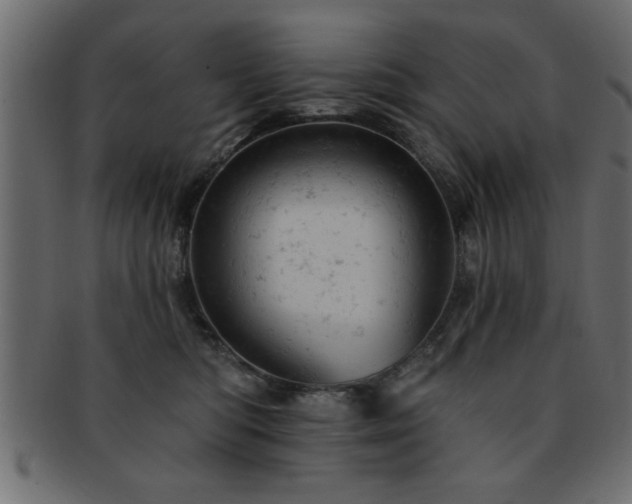 X0000093170422200709261532