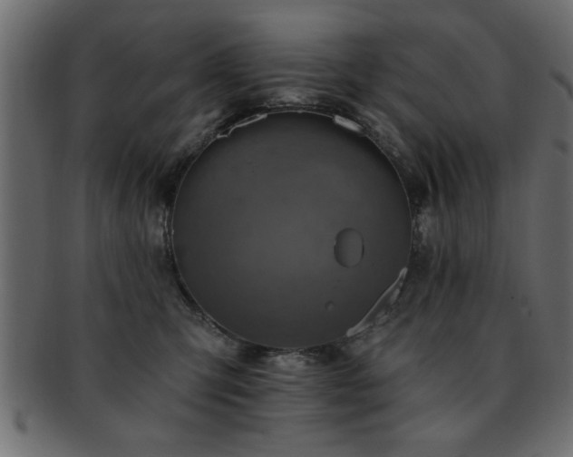 X0000093170423200709261532