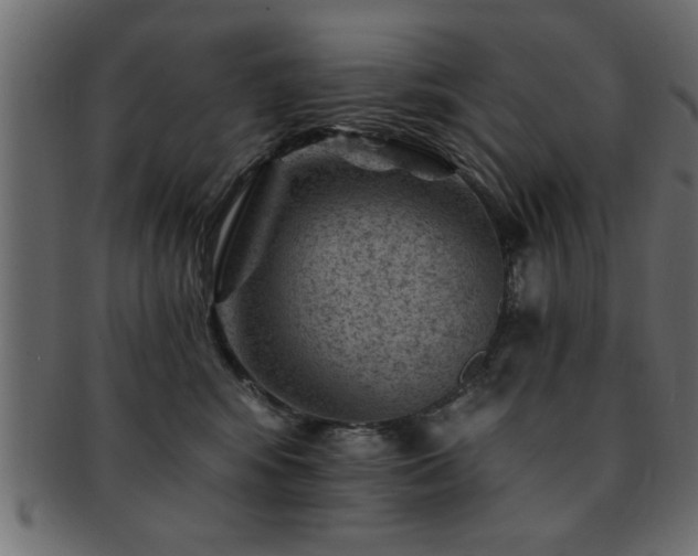 X0000093170424200709261532