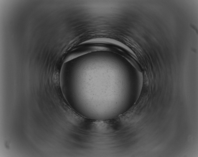 X0000093170425200709261532