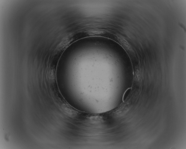 X0000093170426200709261532