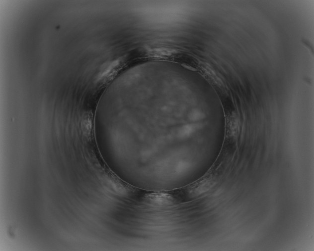 X0000093170427200709261532