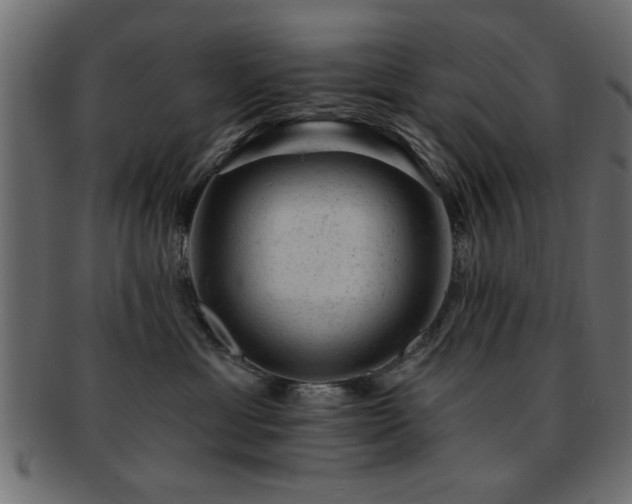 X0000093170429200709261532