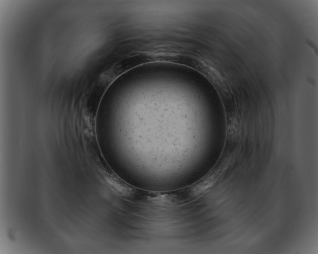 X0000093170430200709261532