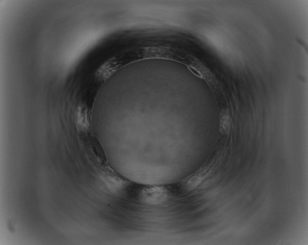 X0000093170431200709261532