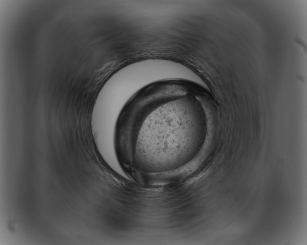 X0000093170432200709261532