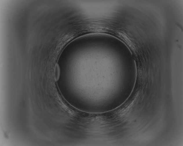 X0000093170433200709261531