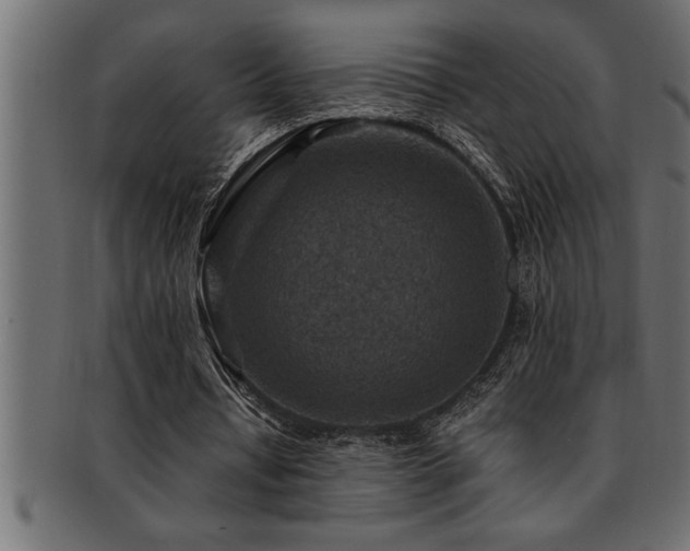 X0000093170434200709261531