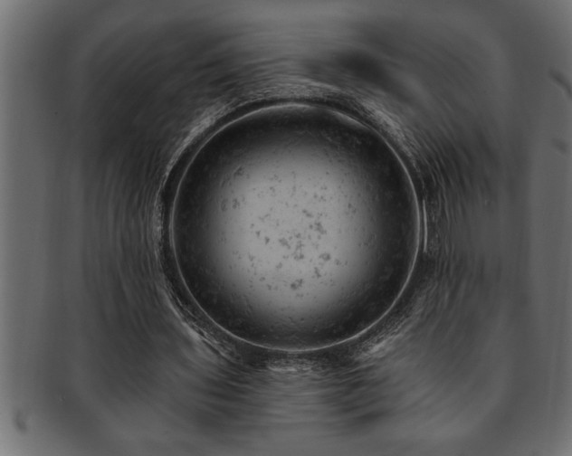X0000093170435200709261531