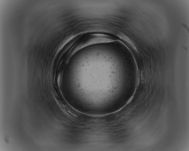 X0000093170436200709261531