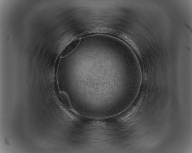 X0000093170437200709261531
