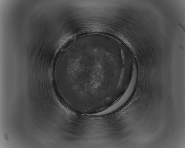 X0000093170438200709261531