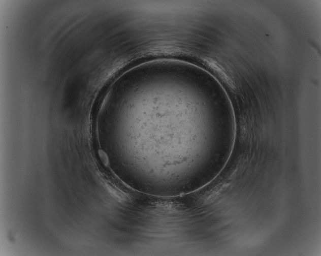 X0000093170439200709261531