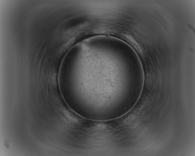 X0000093170441200709261531