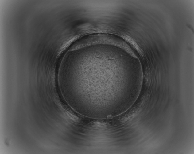 X0000093170442200709261531
