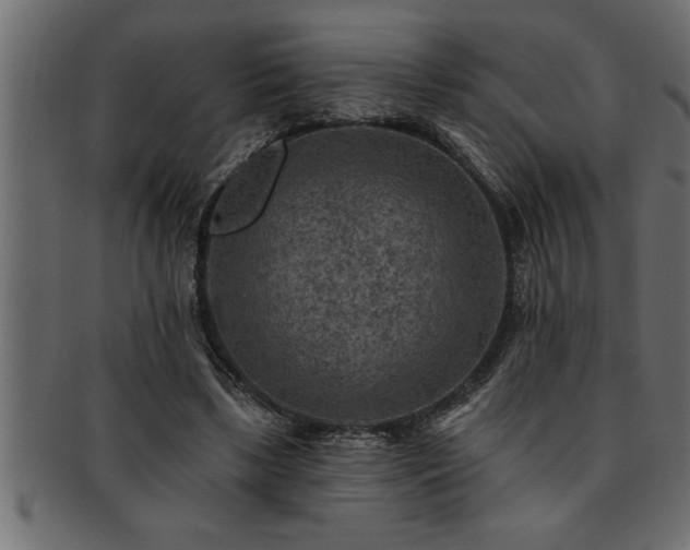 X0000093170443200709261531