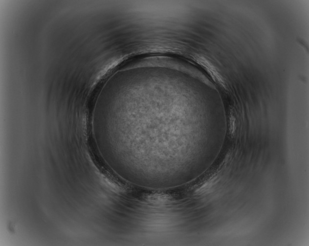 X0000093170444200709261531