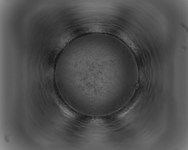 X0000093170445200709261531