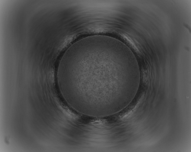 X0000093170447200709261531