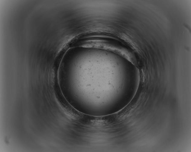 X0000093170448200709261531