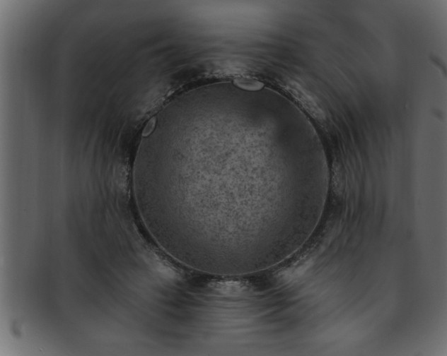 X0000093170449200709261531