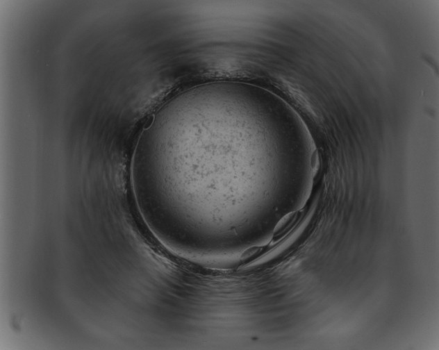 X0000093170450200709261531