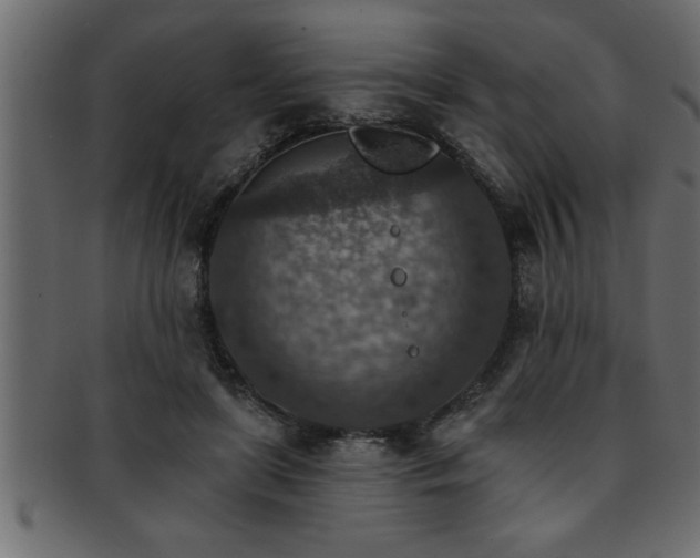 X0000093170451200709261531