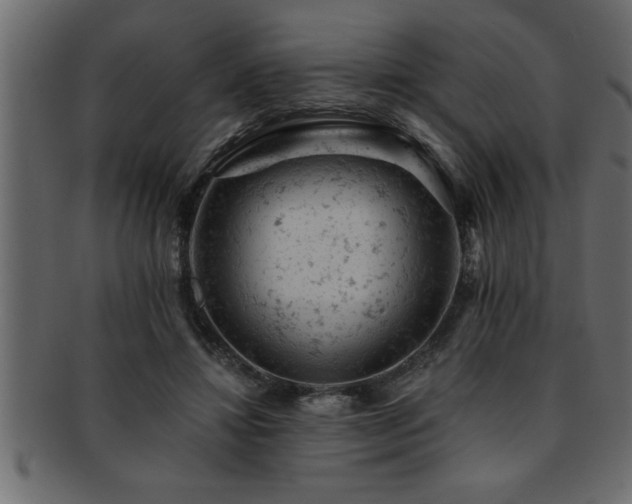 X0000093170452200709261531