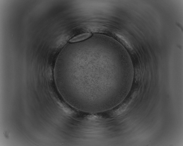 X0000093170453200709261531