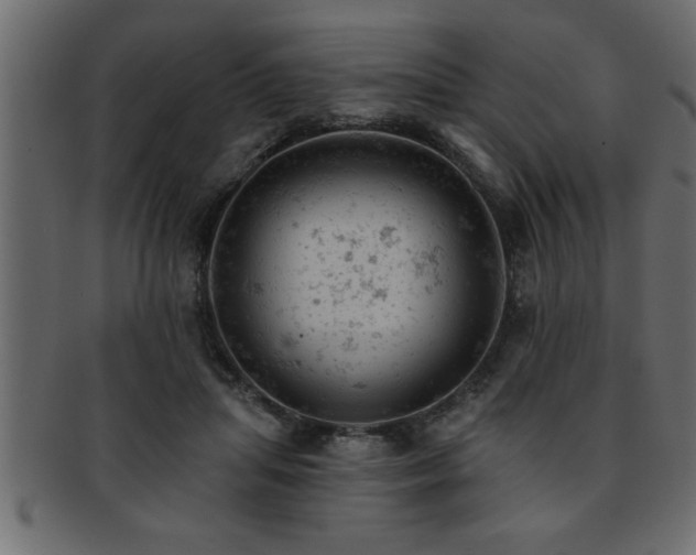 X0000093170455200709261531