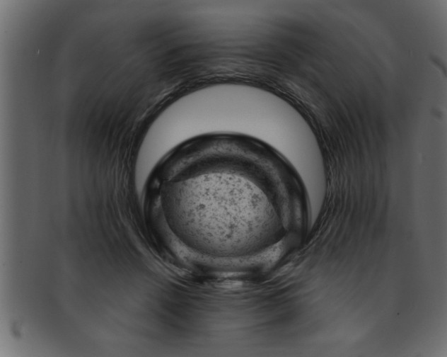 X0000093170456200709261531
