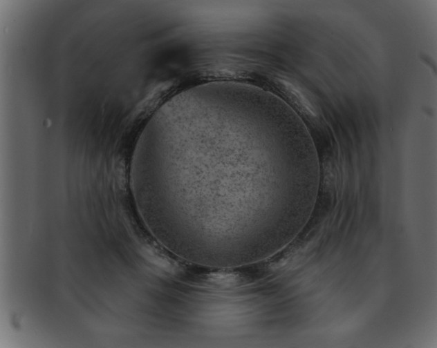 X0000093170457200709261531