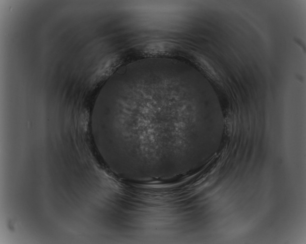 X0000093170458200709261531