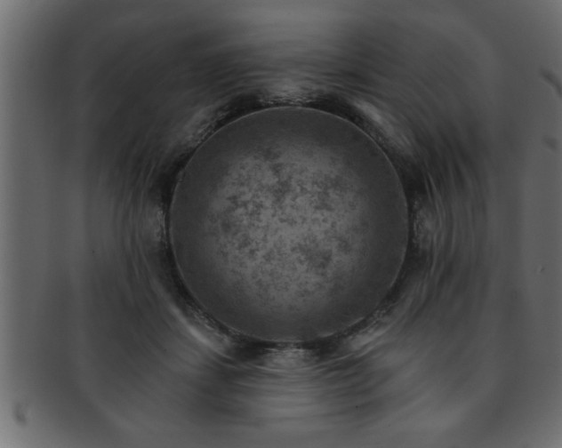 X0000093170459200709261531