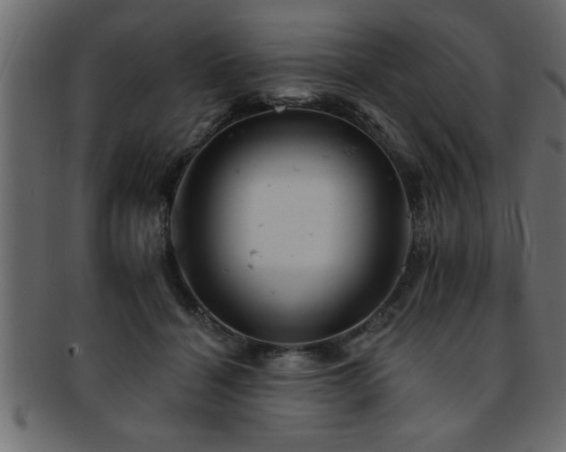 X0000093170460200709261531